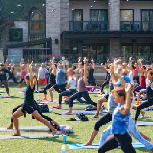 A large group of people is practicing yoga outdoors on a grassy area, showcasing various poses and a vibrant atmosphere.