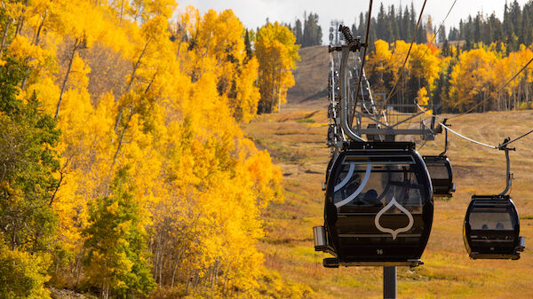 The image shows a scenic view with a gondola lift and vibrant yellow trees in a mountainous landscape during autumn.