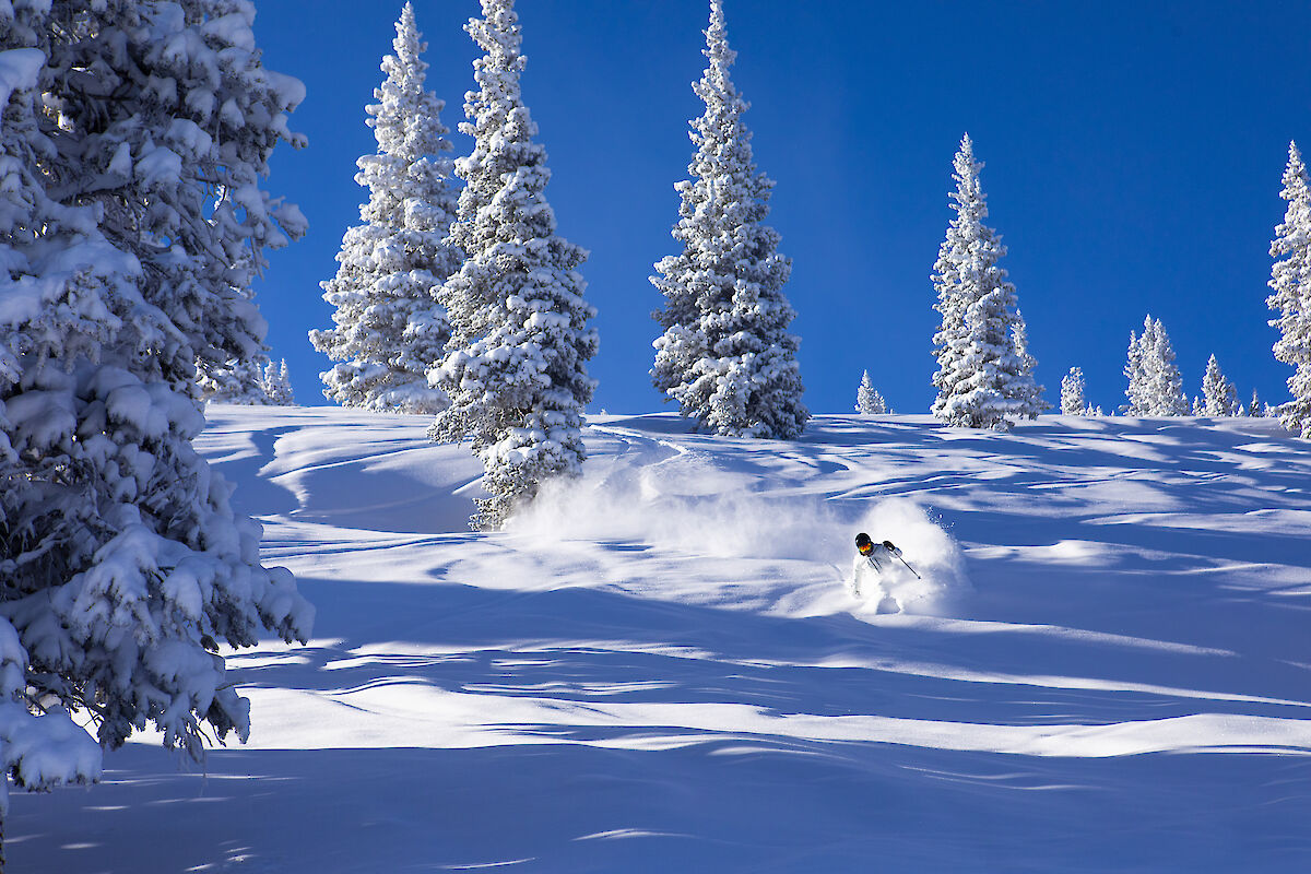 The image shows a skier navigating through fresh snow among tall, snowy trees under a clear blue sky. It captures winter's beauty.