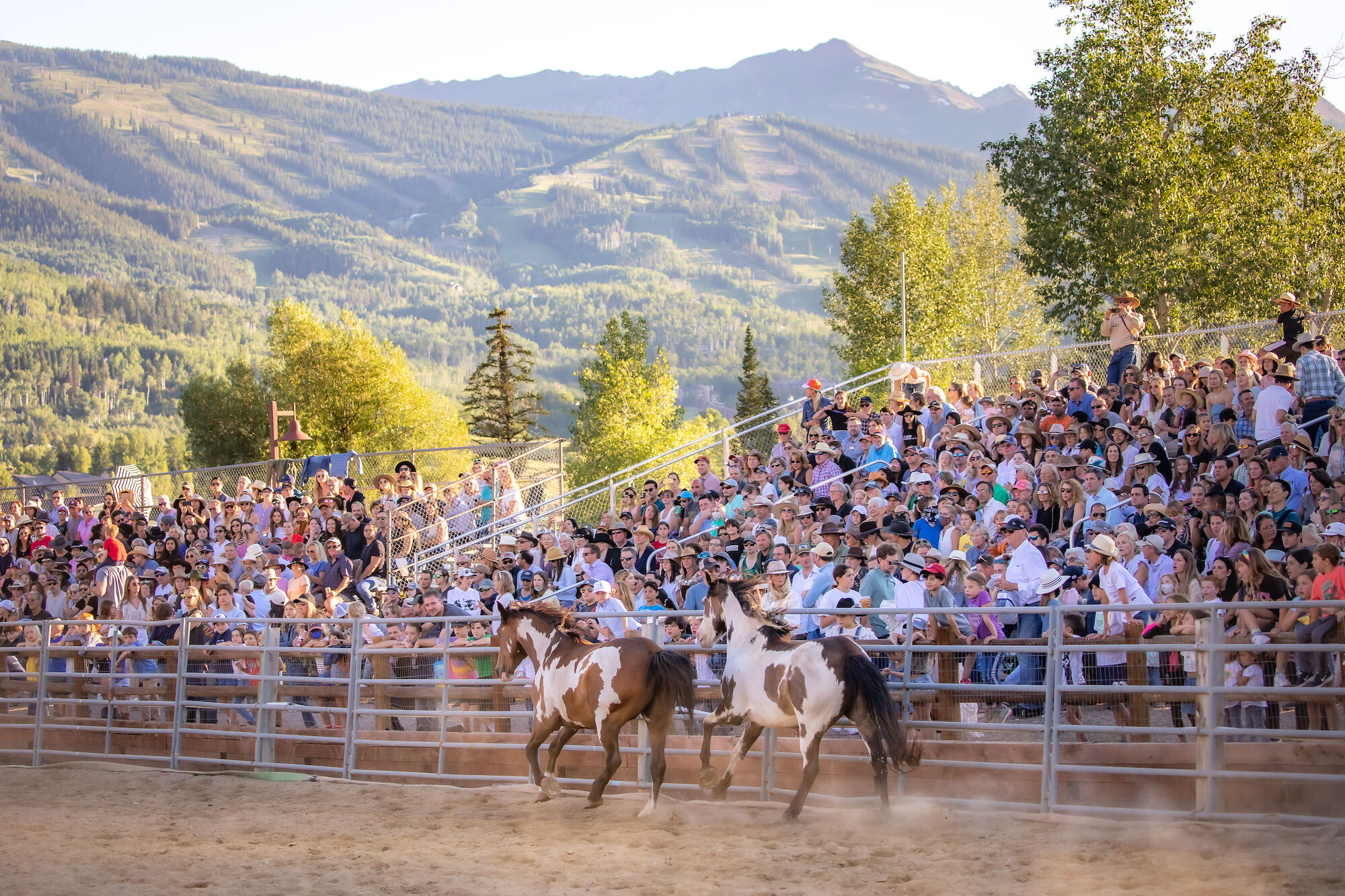 The image shows a rodeo event with horses running, a large crowd in the stands, and mountains in the background. Enjoy the vibrant scene.