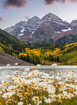 A scenic landscape of mountains, a lake, and vibrant wildflowers in the foreground, possibly during autumn with colorful foliage.